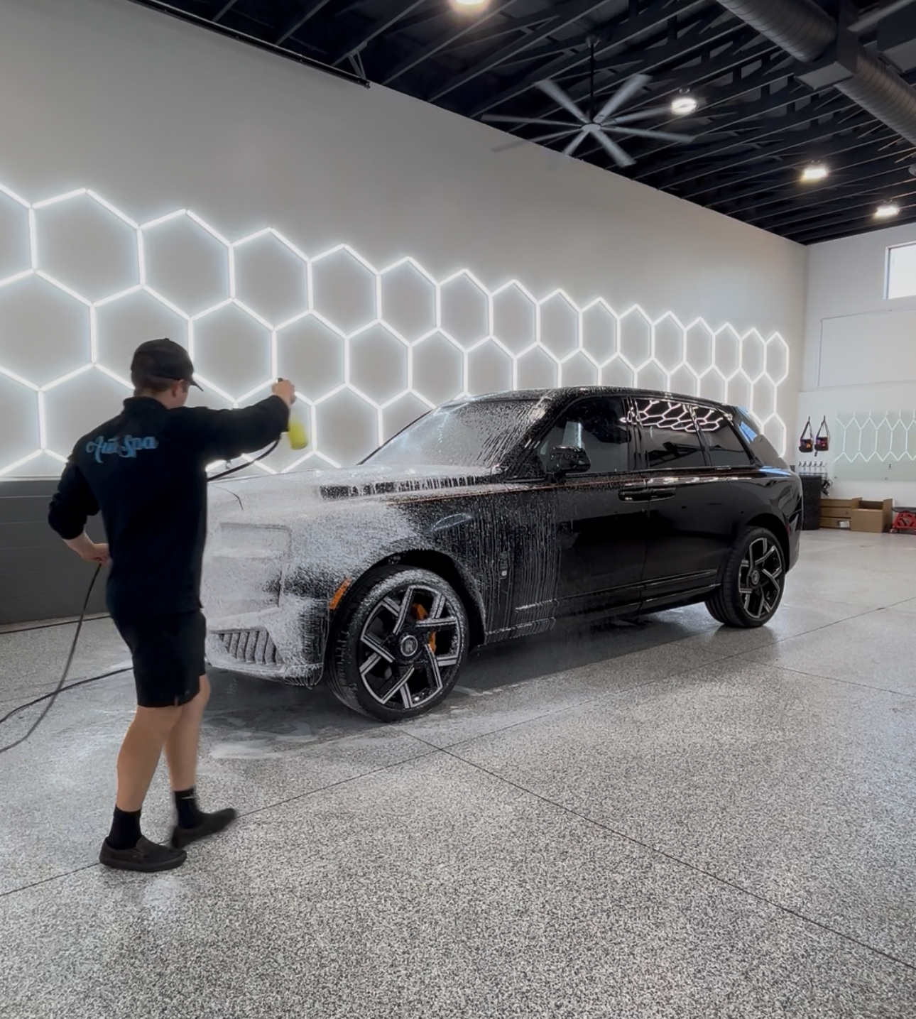 Professional auto detailing service